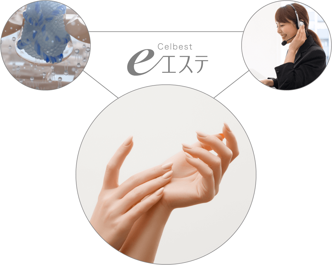 eエステ Celbest